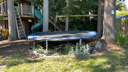 trampoline free
