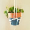 Not Just Plants