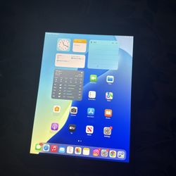 iPad 7