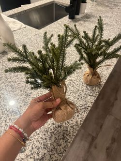 Mini Tabletop Pine Trees with Burlap Base – Set of 2
