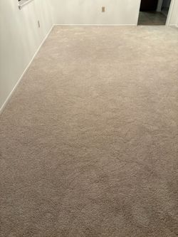 Carpet