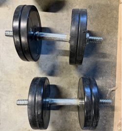 20 lbs adjustable dumbbells