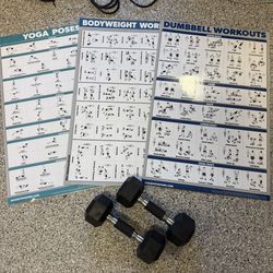 10 lb Dumbbells Pair + Workout Exercise Posters (Home Gym Set)