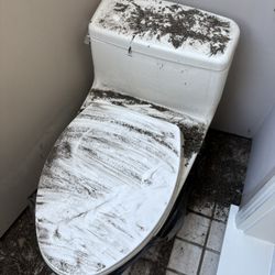 TOTO Toilet – Solid Quality / Good for Rental or Remodel