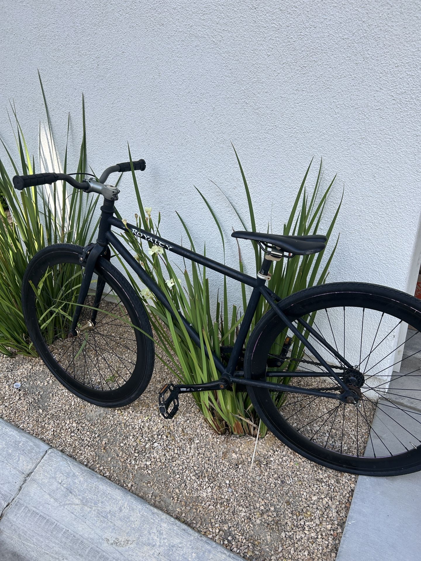 Royalty Bike