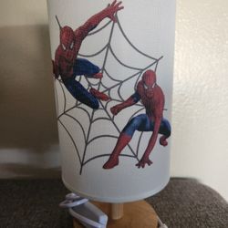 Spiderman Lamp $12