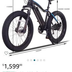 Electric Bike