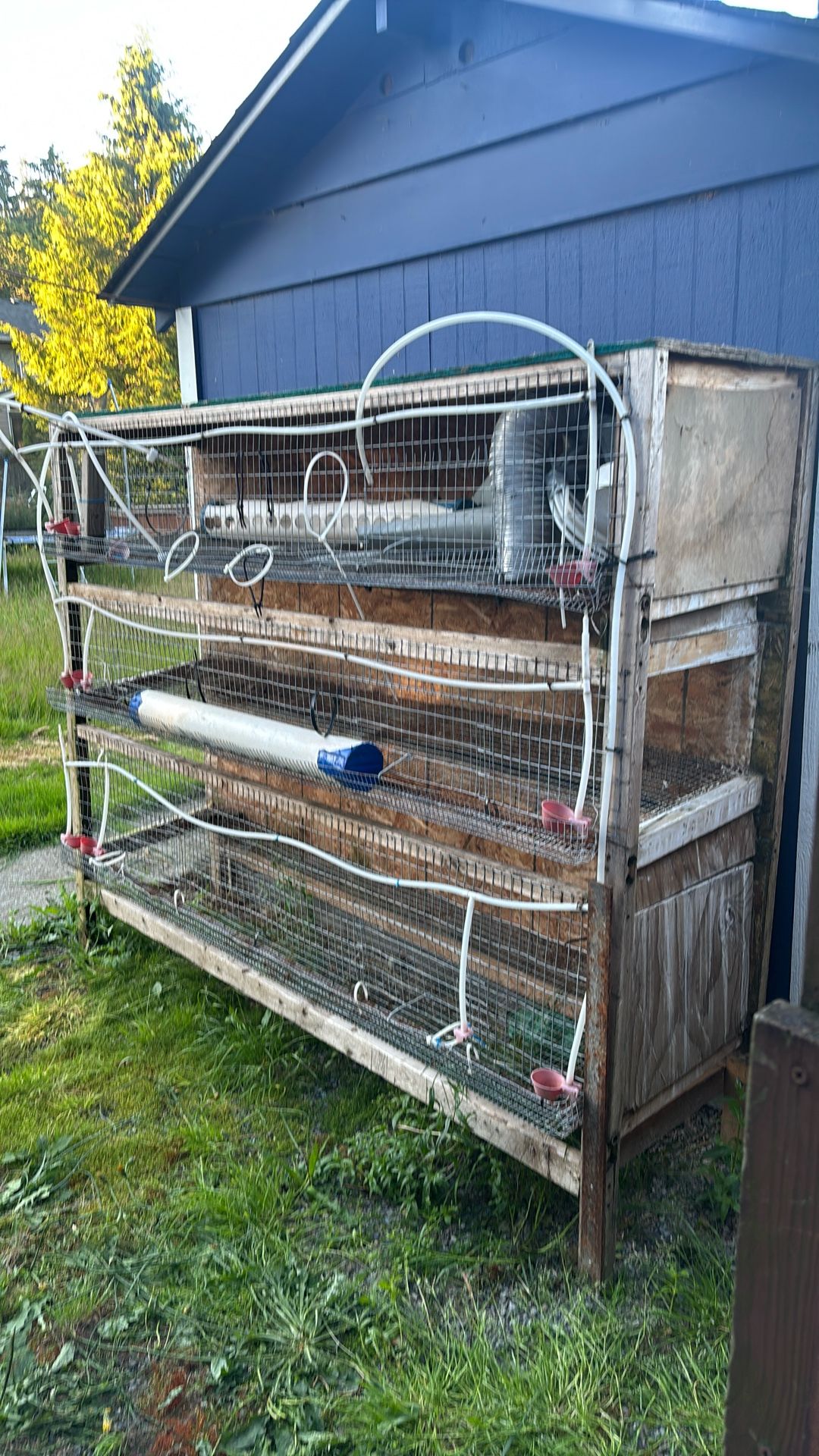 Quail Cages 3 In 1