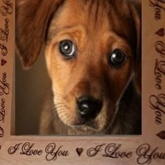 ❤ Engraved Frame 