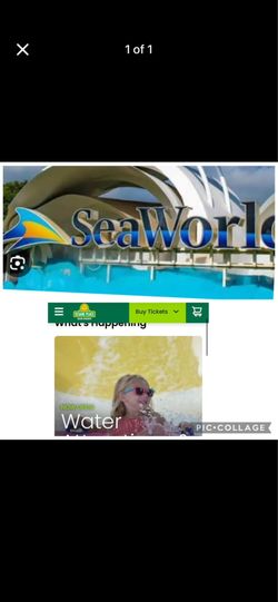 4. Seaworld 4 sesame st tickets