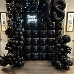 Black Balloon Wall + Garland Arch  -$40 Already Assembled!