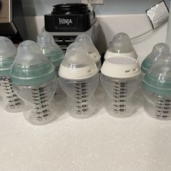 8 Tommy Tippee