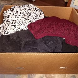 Lane Bryant  silver jeans Co cheetah top 1x Plus Size Tops dresses pants mostly 2x 3x Shein jacket old navy shirt Torrid 3 top lace lot