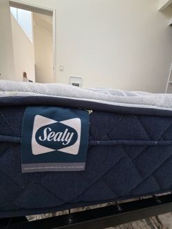 Queen bed and base