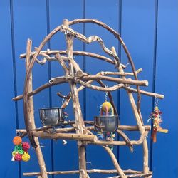 Parrot Perch Tree- Small Bird Love ❤️.., Perfect For Cockatiel, Conure Or Ringneck… 