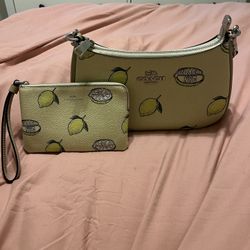 Coach Bag And Wallet 