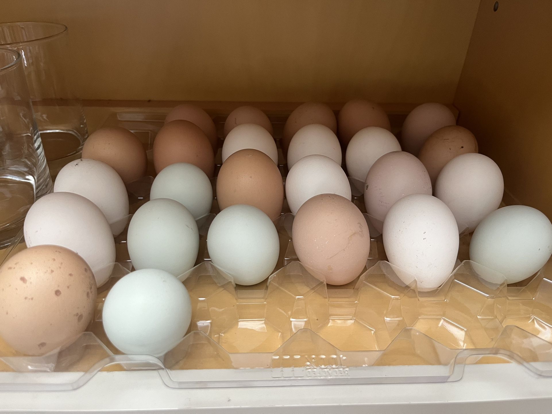 Pasture Organic Eggs By The Dz