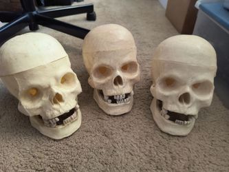 Set of 3 Vintage Realistic Human Skull 7" Tall Halloween Plastic Spooky Prop