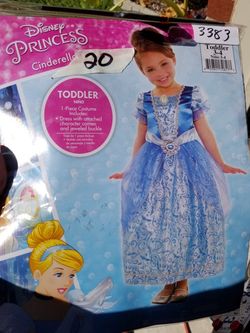 Cinderella costume new