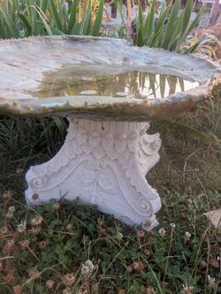 Bird bath