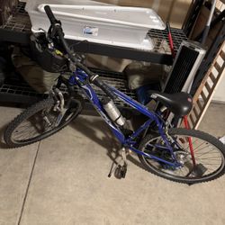Schwinn Bike 