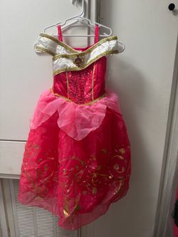 Princess Aurora Costume
