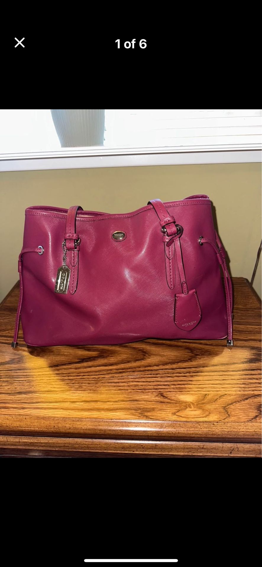 Coach Peyton Leather Handbag