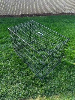 Foldable Dog Crate