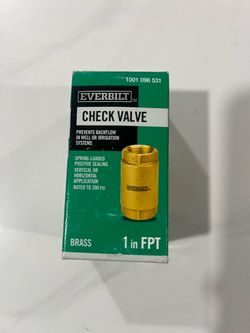 Everbilt 1 in. Brass Check Valve (New)