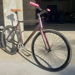 Trek Conversion Project Bike 🚲