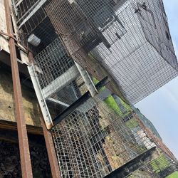 Rabbit Cages 