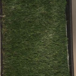 Pee Training Grass For Dogs