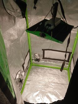Grow tent and grow light