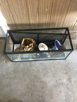 Turtle lamp heating aquarium