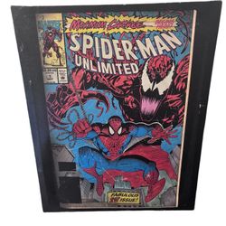 Spider-Man Canvas Framed Picture 