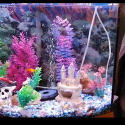 Fish Tank 
Bow front aquarium combo set