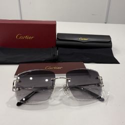 Cartier Glasses(Diamond Cut) Black Lense, Silver Frame