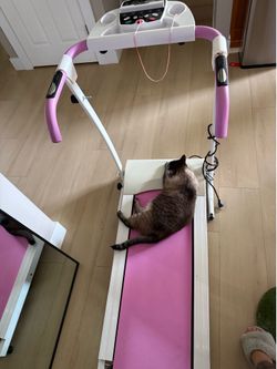 Treadmill free