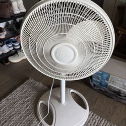 Fan
