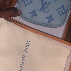 Louis Vuitton Pouch (small)