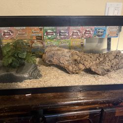 Snake Tank 