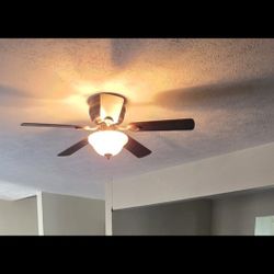 Living Room Fan