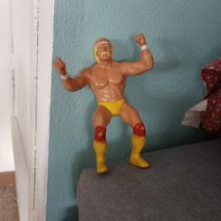Hulk Hogan 