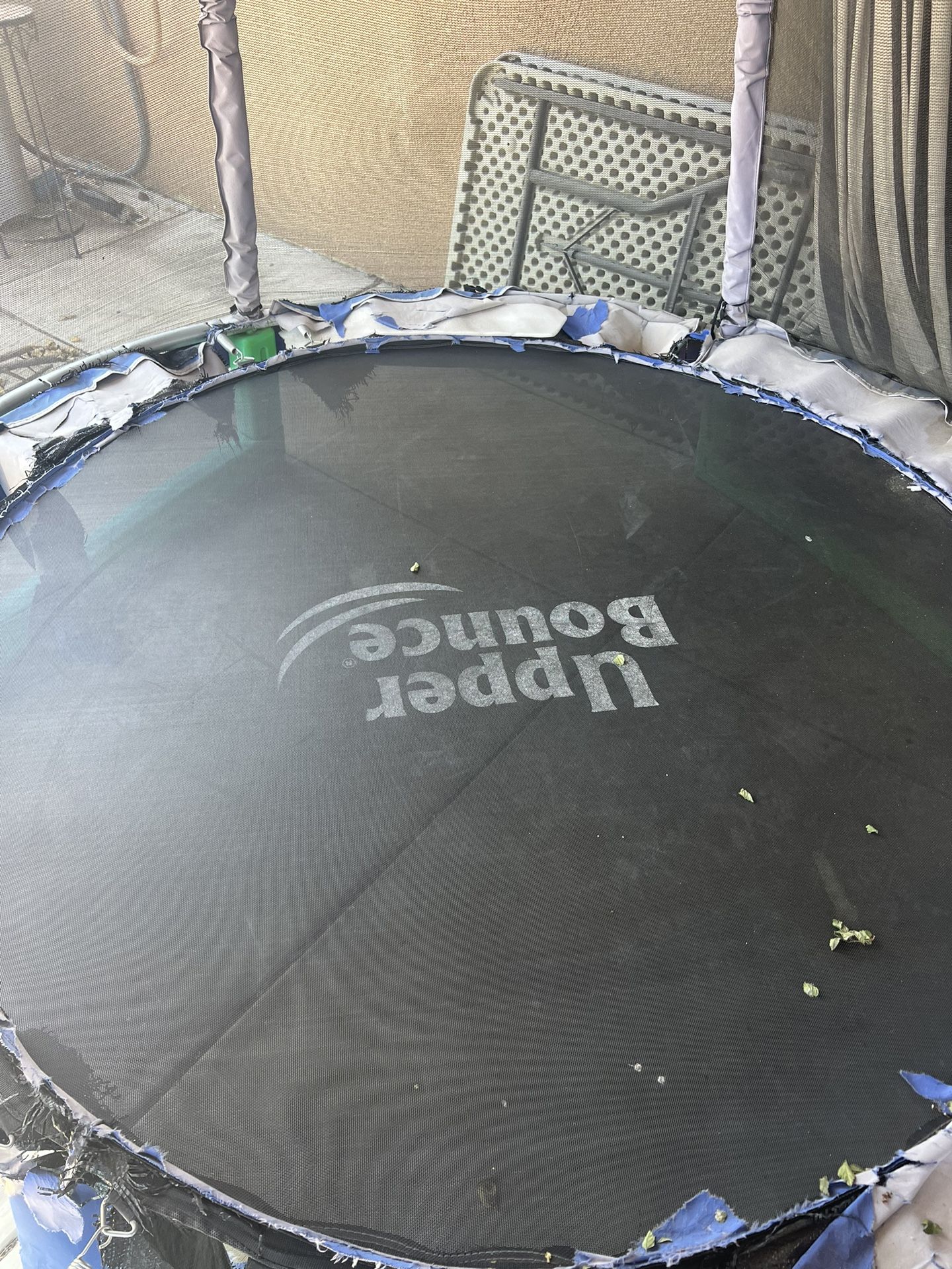 Free Kids Trampoline