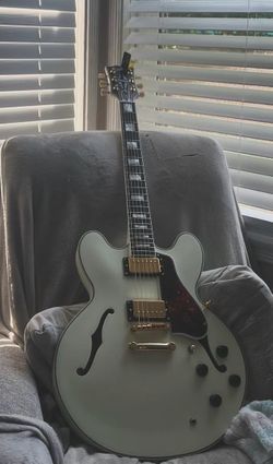 Epiphone es - 355