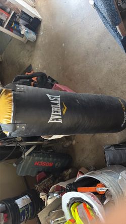 Everlast punching back