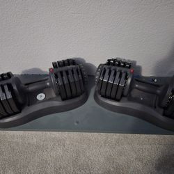 Adjustable Dumbbell Set