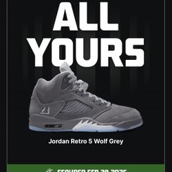Jordan 5 Wolf Grey