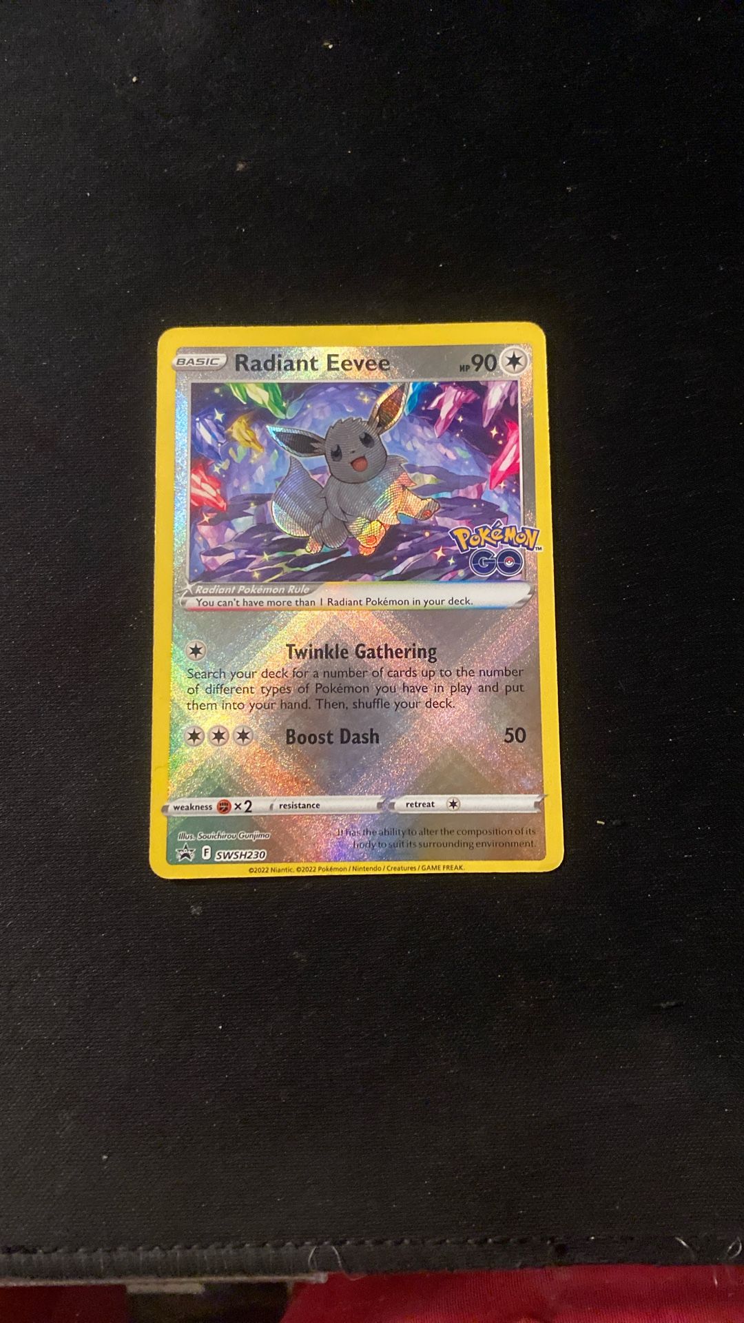 Pokémon Card Ever