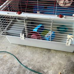 Guinea pig cage